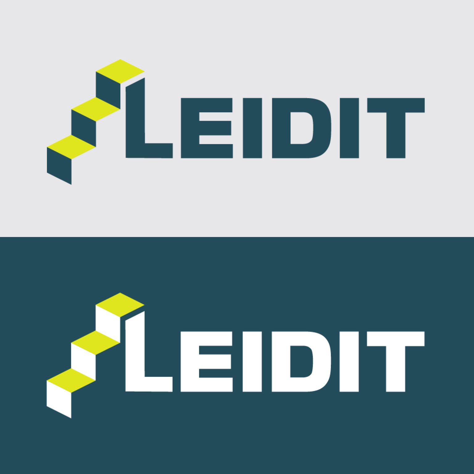 Logo design for LEIDIT