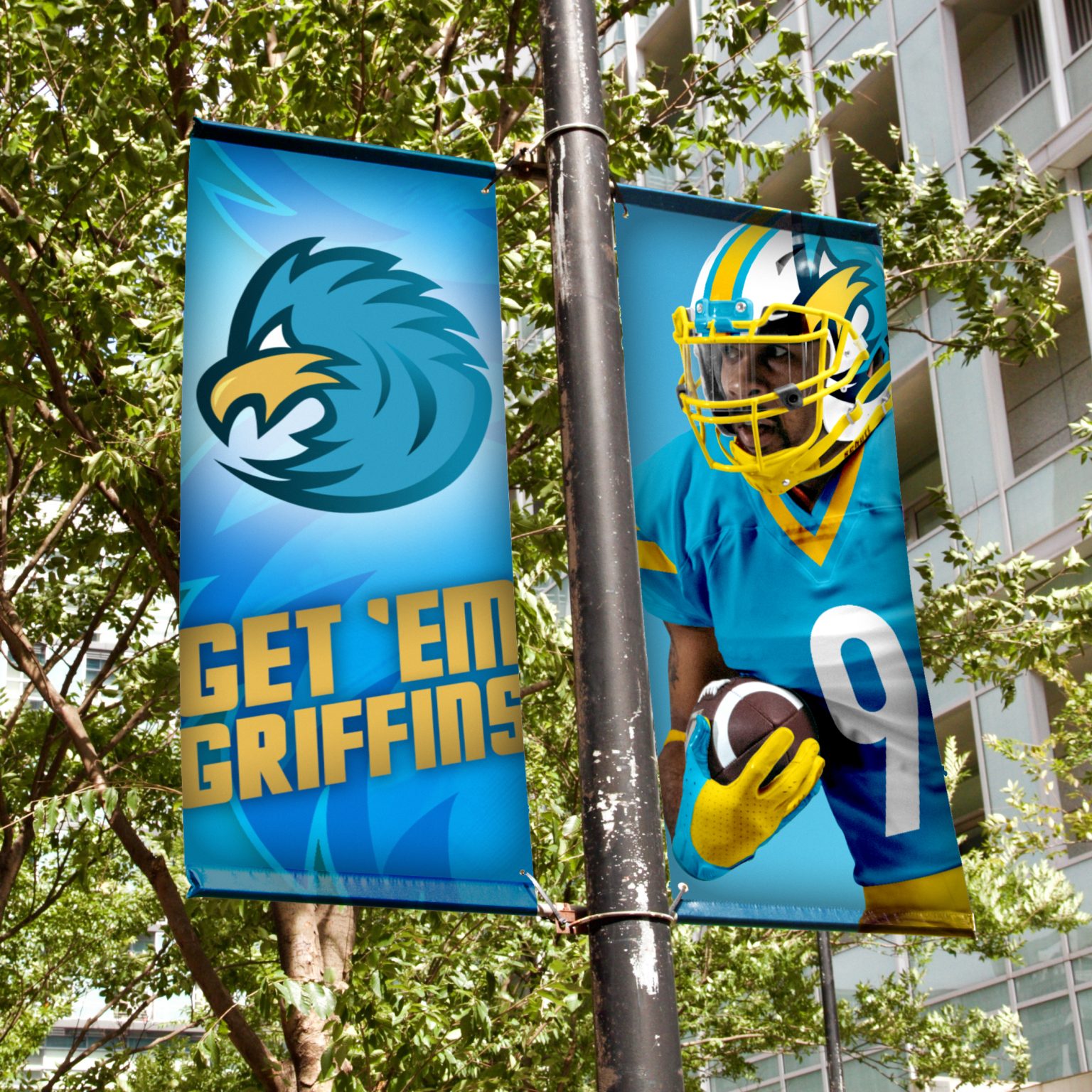 Pole banners for Griffins