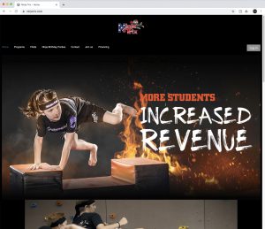 NinjaTrix, Web Design, Martial Arts, karate, taekwondo, jujitsu